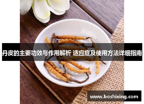 丹皮的主要功效与作用解析 适应症及使用方法详细指南