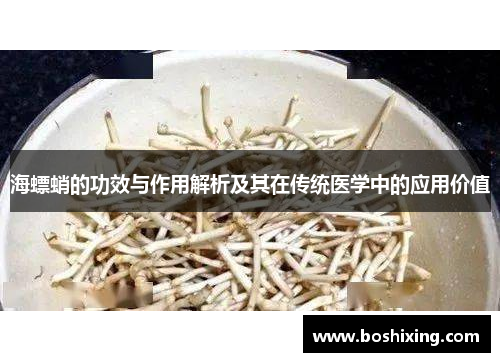 海螵蛸的功效与作用解析及其在传统医学中的应用价值