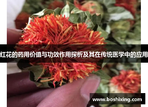 红花的药用价值与功效作用探析及其在传统医学中的应用