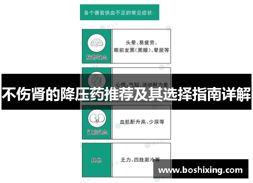 不伤肾的降压药推荐及其选择指南详解