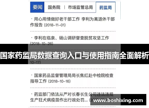 国家药监局数据查询入口与使用指南全面解析