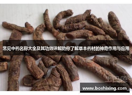 常见中药名称大全及其功效详解助你了解草本药材的神奇作用与应用