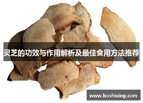 灵芝的功效与作用解析及最佳食用方法推荐