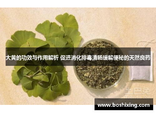 大黄的功效与作用解析 促进消化排毒清肠缓解便秘的天然良药