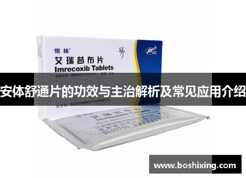 安体舒通片的功效与主治解析及常见应用介绍